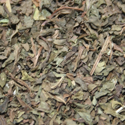 Monokräuter Na Na Minze