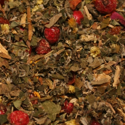 Kräutertee Friesenkraut